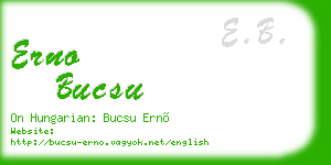 erno bucsu business card