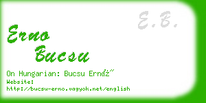 erno bucsu business card